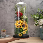 JUXYES 13.8 Inches Glass Display Dome Cloche with Black Wood Base, Clear Glass Dome Cloche Bell Terrarium Jar Glass Cloche Bell Jar Display for Plants Collectible Figure, 15x35cm - Image 6