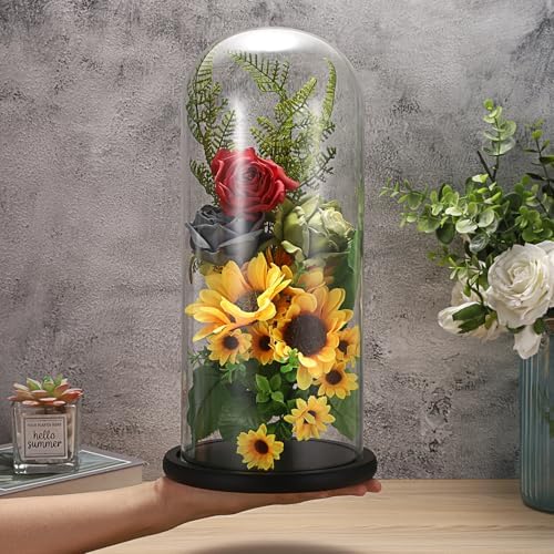 JUXYES 13.8 Inches Glass Display Dome Cloche with Black Wood Base, Clear Glass Dome Cloche Bell Terrarium Jar Glass Cloche Bell Jar Display for Plants Collectible Figure, 15x35cm - Image 6