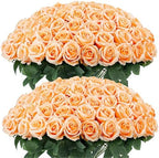 Auihiay 60PCS Artificial Roses, Champagne Roses, Velvet Silk Roses by Auihiay