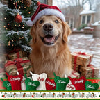 Personalized Dog Christmas Stockings 9 Pack, Custom Name Knitted Christmas Stockings, 16.9” Large Xmas Stocking for Dogs Cats Pets, Bone Shape Fireplace Hanging Holiday Xmas Party Decoration - Image 7