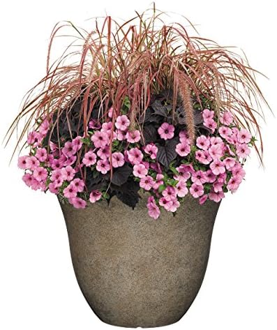 Classic Home and Garden Honeysuckle Resin Flower Pot Planter, Fossil Stone, 15" (Pack of 2) - Image 5