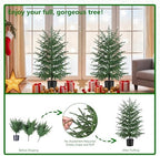 Grooy 2 Pack 3FT Artificial Norfolk Pine Tree with Pot - Image 4
