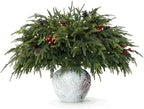 WHANLEY L&Q 12-Piece Set 23" Christmas Norfolk Pine Branches with Lights - Battery Operated Christmas Decorations - Warm Lights-Norfolk Pine Stems for Xmas DIY Crafts Garland Wreath - Christmas Decor by WHANLEYLQDecorativeStones