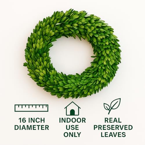 Preserved Boxwood Wreath 16 Inch – Real Greenery Spring Summer & Year-Round Indoor Décor, Farmhouse Wall Door & Mantel, Fade-Resistant - Image 3
