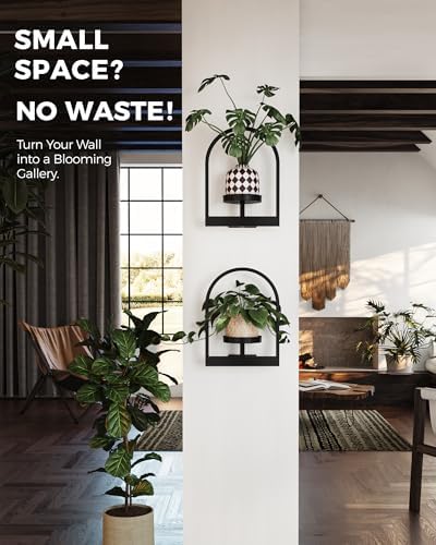 Bamworld Wall Plant Holder Plant Stand Indoor Wall Planters Round - Image 5