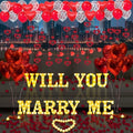 Will You Marry Me Light Up Letters Proposal Decorations, 14Pcs 6.3" Sign with 24Pcs Flameless Heart Candles 2000Pcs Red Artificial Rose Petals 45Pcs Latex Balloons 10Pcs Heart Balloon Valentine's Day by Fezava