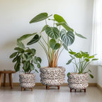 SQOWL Ceramic Plant Pots - 8 Inch Ceramic Planter for Indoor Plants Outdoor, Round Planter with Drainage Hole, Round Decorative Flower Pots, Living Room Office Garden Decor, Gardening Gifts, White - Image 7