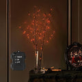 LITBLOOM Halloween Tree Branch Lights 32IN 100 Orange LED with Timer, Lighted Black Twig Branches with Fairy Lights for Halloween Decoration Indoor Outdoor by LITBLOOM