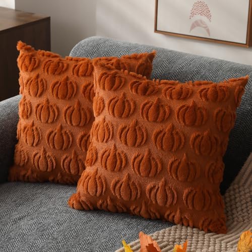 DFXSZ Fall Pillow Covers 24x24 2Pcs Rust Pumpkin Fall Decorations for Home by DFXSZ