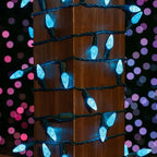 Novelty Lights 24FT 70 LED C6 Outdoor Christmas Tree String Lights - Image 3