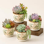 Ceramic Plant Pots, Nursery Pots with Drainage Hole, 3.5 Inch Succulent Pots for Plants, Small Indoor Flower Pots, Modern Decorative Planters for House Plants, Garden Planters, White Green by MISSYSSIM