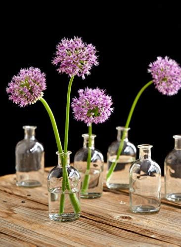 Serene Spaces Living Bottle Bud Vases, Apothecary Jars, Decorative Glass Bottles for Home Decor, Centerpiece for Wedding, Elegant Decoration, Mini Flower Vases, 2.25" Diameter & 5.25" Tall, Pack of 48 - Image 5