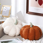 Kajaia 2 Pcs 3D Pumpkin Pillow Fall Decor Cushions,White, Brown by Kajaia