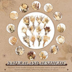 Layhit 24 Pcs Mini Dried Flower Bouquets Boho for Vase, Stylish - Image 6
