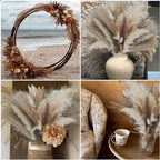 610 PCS Dried Pampas Grass Decor, Dried Flower Bouquets for Wedding, Home, Centerpiece Table, Modern Home, Western Living Room, Nurserie, Nursery, Boho Room, Beach, Women Office, and Boho Decor - Image 7