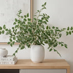 Daynight 12 Pcs Artificial Eucalyptus Leaves Stems, 35″ Long Stem Silk Plum Foliage Branches, Flexible Silk Faux Greenery for Farmhouse, Home, Kitchen and Table Centerpiece DIY Decor (12, Light Green) by Unknown