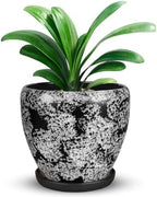 Ceramic Plant Pots With Saucer & Drainage Hole, 8 inch Indoor Flower Pots by Xoogifae