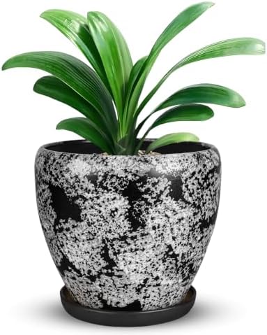 Ceramic Plant Pots With Saucer & Drainage Hole, 8 inch Indoor Flower Pots by Xoogifae