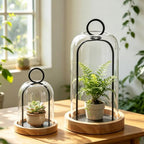 Set of 2 Versatile Black Metal Candle Holder with Handmade Sturdy Glass Dome And Natural Wooden Base for Pillar Candle & Plants, Industrial, Farmhouse, Shabby Chic, Decorative Display Cloche Bell Jars - Image 4