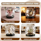 Cloche Glass Dome with LED Base, Round Glass Display Bell Jar, 6 Inch - Image 3