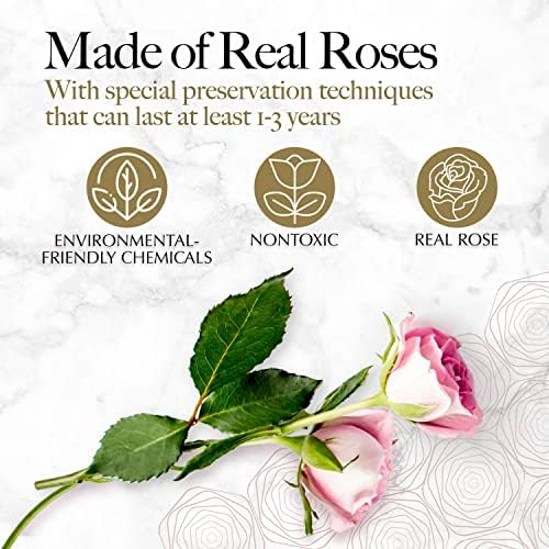 GLAMOUR BOUTIQUE Preserved Flowers, 16 Forever Pink Roses in Heart Gift Box - Image 2
