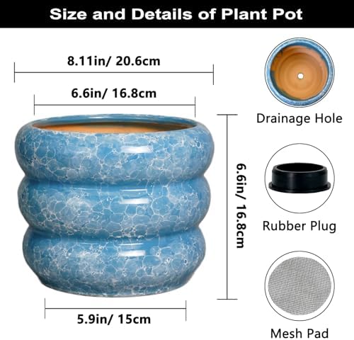 SQOWL 8 Inch Plant Pot with Drainage Hole - Ceramic Pot for Plants Outdoor Planter for Indoor Plants Decorative Plant Pot Medium Flower Pot Round Planter for Bathroom House Decor Blue - Image 3