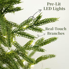 Christmas Decorations - 2FT Pre-Lit Artificial Norfolk Pine Christmas Tree - Image 2