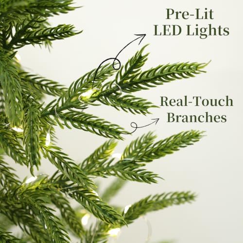 Christmas Decorations - 2FT Pre-Lit Artificial Norfolk Pine Christmas Tree - Image 2