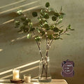 Hairui Lighted Eucalyptus Branches with Timer 24IN 36 LED Battery Operated for Wedding Christmas Party Home Spring Decor (Vase not Included) by Hairui