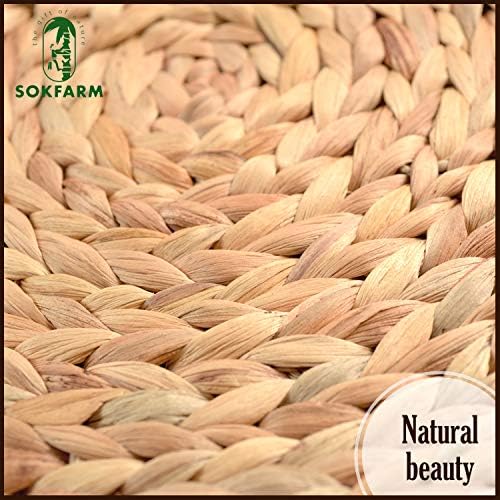 Round Woven Placemats Set of 10, 13.4 Inch Water Hyacinth Charger Plates with Clean Straight Rim, Bulk Handwoven Wicker Table Mats for Modern Minimalist Dining, Parties and Holiday Entertaining - Image 7