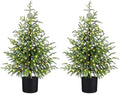 ENVEN 3FT Prelit Artificial Norfolk Pine Christmas Tree – Realistic Small Potted Tree with 50 LED Lights & 8 Lighting Mode, Battery Powered, Xmas Decor for Desktop Tabletop Display (Set of 2) by ENVEN