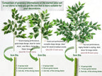 40pcs Italian Ruscus Greenery Garland 68cm Artificial Greenery Stems Home Decor - Image 4