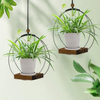 hismocal Hanging Planter for Indoor Plants,Plant Hanger with Sturdy Wood Base & Pot, Modern Boho Macrame Plant Hanger,Wall Ceiling Window Stands(2 Pack+Pots) - Image 4