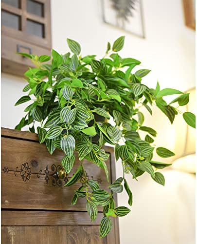 FiveSeasonStuff Watermelon Peperomia Real Touch Hanging Plant, 2 Stems - Image 7