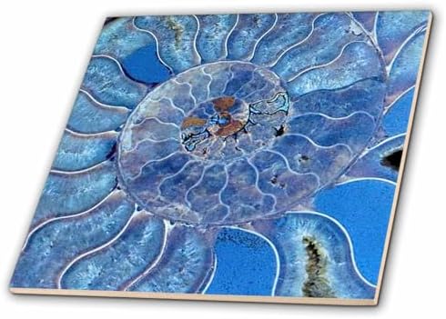 3dRose Blue Seashell-Mother-of-Pearl Closeup 12 Inch Ceramic Tile by 3dRose