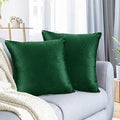 Nestl Throw Euro Pillow Covers, Cozy Velvet Decorative Pillow Covers 26 x 26 Inches, Soft Solid Couch Pillow Case for Sofa, Bed and Car, Set of 2 - Hunter Green by Nestl