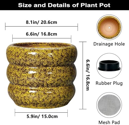 SQOWL Ceramic Planter - 8 Inch Indoor Plant Pot with Drainage Hole, Round Planter for Outdoor Plants, Ceramic Flower Pots, Bubble Planters, Home Room Porch Decor, Plant Lover Gifts, Yellow - Image 3