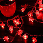Remote Plug in Lantern String Lights,33ft/10m100 LED Red Lanterns String Lights 8 Modes Fairy Lights for Wedding, Chinese New Year,Spring Festival,Party Decoration,Christmas - Image 5
