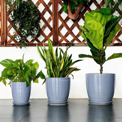 10 Inch Plant Pot - Round Ceramic Planter with Drainage Hole and Plant Saucer Indoor Outdoor for Decoration, Modern Home Garden Office Decor, House Warming Gifts, Blue-Purple - Image 7