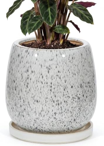 10.3 Inch Ceramic Glaze Plant Pot with Saucer, Flower Pots with Drainage Hole Mesh Net (Spot Blue) by Unknown