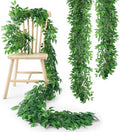 Suncalla 2 Pcs 10 Feet Italian Ruscus Greenery Garland Willow Vines Twigs by Unknown