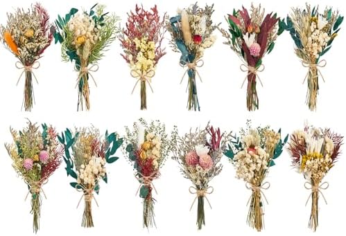 12/24PCS Handmade Dried Flower Bouquet with Stems Natural Dried Wildflowers 7.5 Inch Mini Dry Flowers for Vase Farmhouse Decor, Wedding Styling, Photography Props, Gift DIY(12pcs, Bright) by Unknown