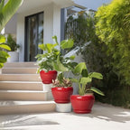 Ceramic Plant Pots, 10+8+6 Inch Ceramic Planters, Bright Red - Image 7
