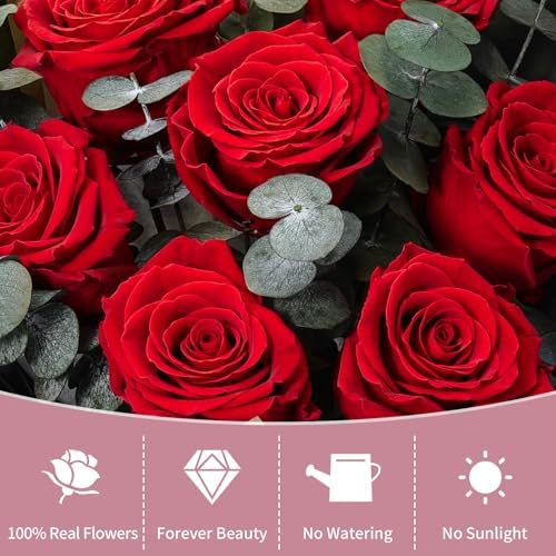 Lewondr Preserved Flowers Bouquet, Red Roses Forever Flowers for Delivery - Image 4