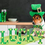 VIHOSE 5 Pcs St. Patrick's Day LED Letter Lights Sign Plastic Lucky Letters Light up Table Top Sign Irish Lucky Light up Room Decor Gifts for Home Decoration Bar Party Bedroom - Image 5