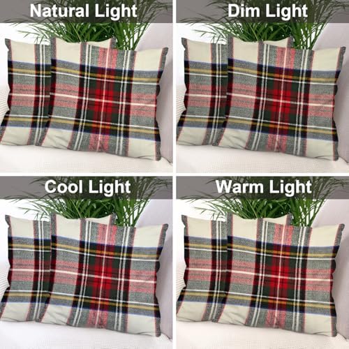 Batmerry Scottish Tartan Throw Pillow Covers, Green Wool Plaid Symmetric Square Fashion Decorative Pillow Covers Digital Printing Blended Fabric for Couch Sofa Bed Invisible Zipper 24X24 in(Set of 2) - Image 7