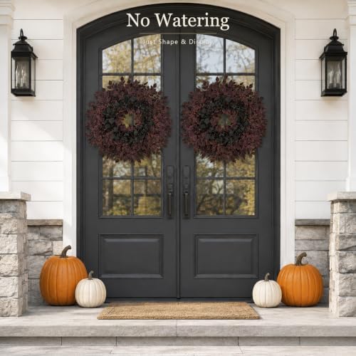 Agusbagli 28’’ Artificial Cimicifuga Fall Wreath for Front Door, Fall Decor - Image 7
