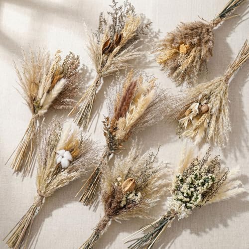Layhit 8 Pack Large Size Boho Dried Flowers 15-17 Inch, Classic by ShungLan
