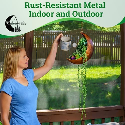 Hanging Moon Planter - Moms Day Gift - Moon Room Decor - Unique Planters for Succulents & Air Plants - Plant Lover Gifts - Boho & Hippie Style - Image 4