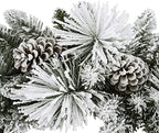 Puleo International 32" Flocked Berkshire Artificial Spruce Wreath 84 Tips 8pc. Pine Cones - Image 4